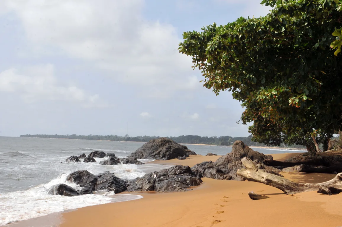 Kribi